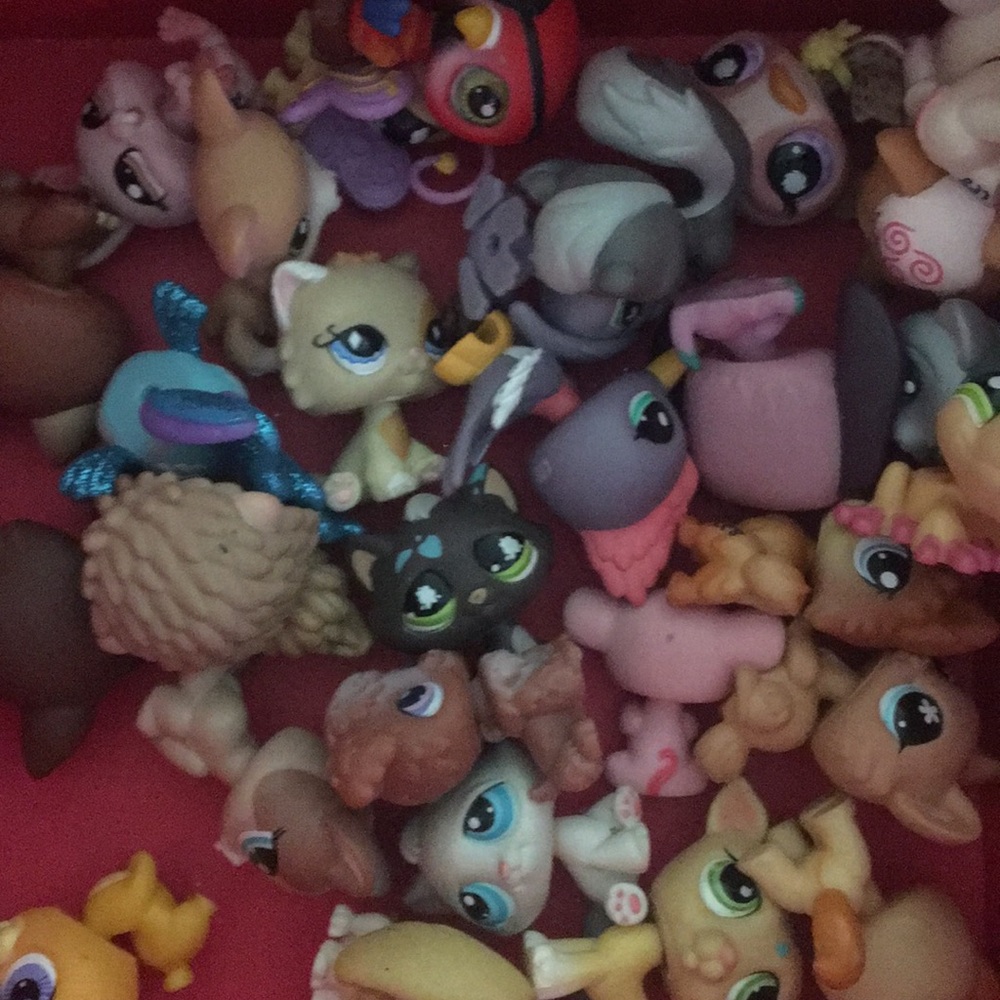 Little pet shop